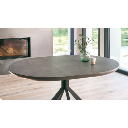 Table de repas extensible COLZA