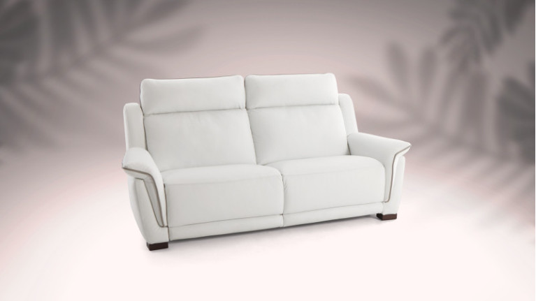 Canapé FRANCIS - Canapé tout confort disponible en 2 ou 3 places dans plusieurs coloris de cuir ou tissu.