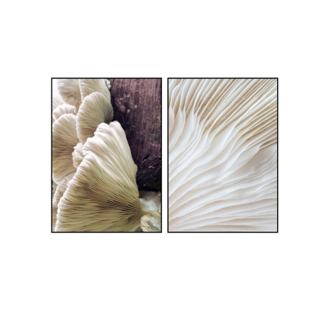 Tableau ORGANIC LINES - Affiche avec zoom champignon, montée à bord et encadrée sans verre. Encadrement bois ou noir.