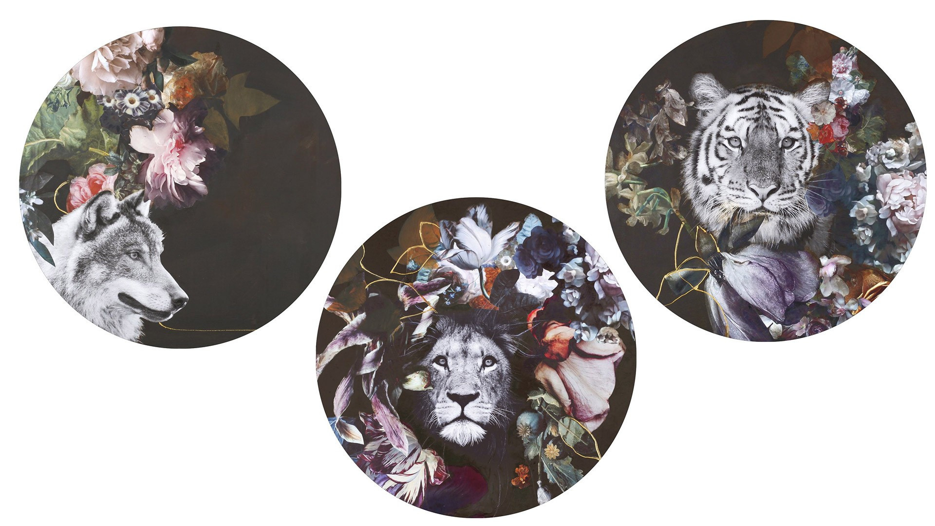 Tableau rond FELIN - Tableau lion, loup ou encore tigre avec motifis floraux pour une décoration pleine de charme.