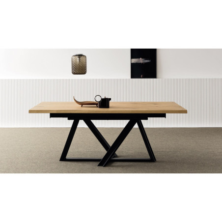 Table de repas extensible WIEN
