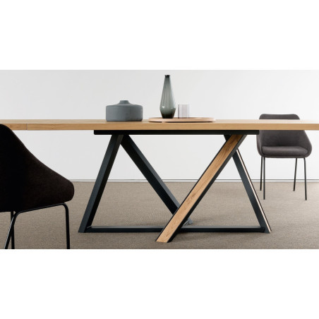 Table de repas extensible WIEN
