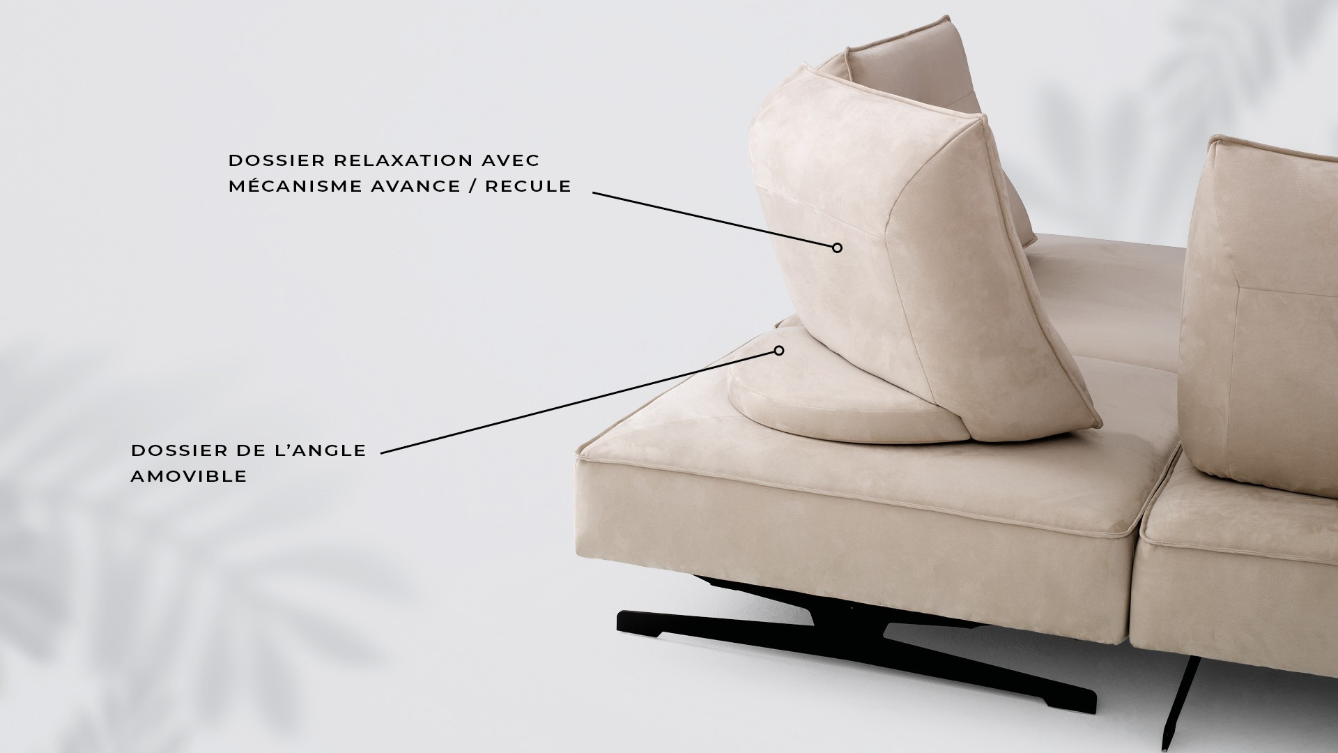 canape dossier amovible