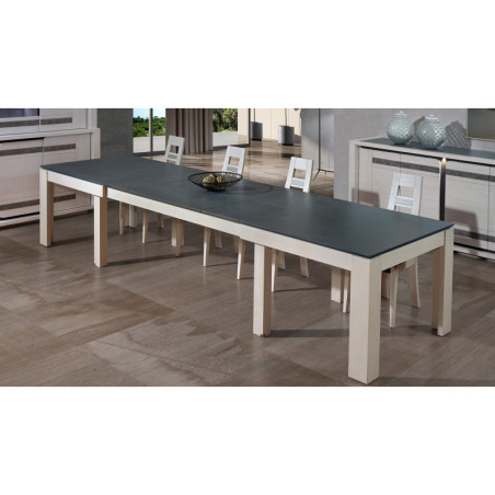 Table de repas extensible EDEN