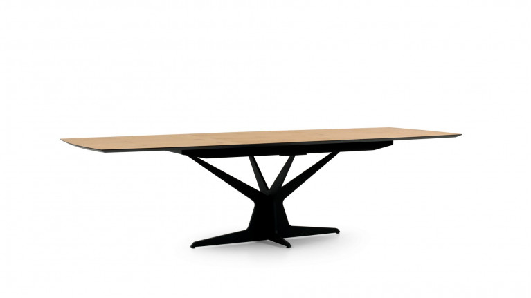Table de repas extensible...
