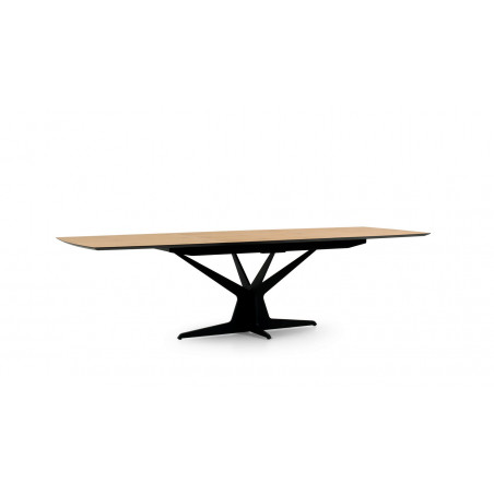 Table de repas extensible EQUINOXE