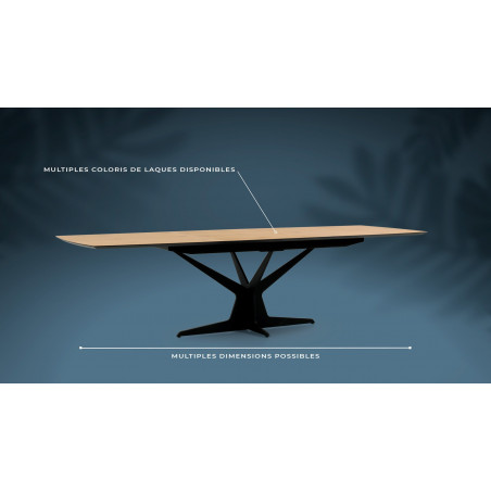 Table de repas extensible EQUINOXE