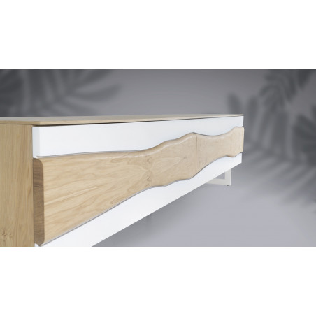 Meuble TV 2 portes RACINE