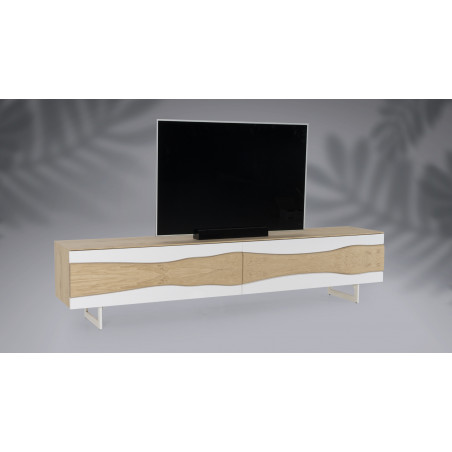 Meuble TV 2 portes RACINE