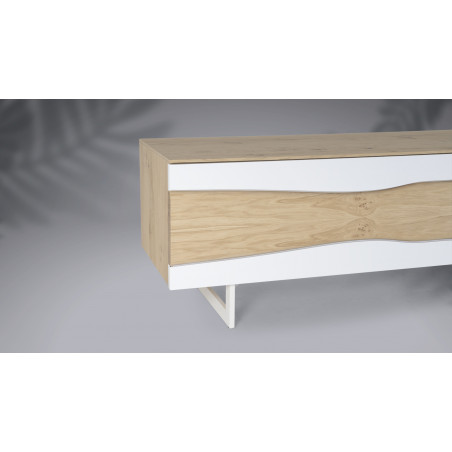 Meuble TV 2 portes RACINE