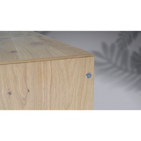 Meuble TV 2 portes RACINE