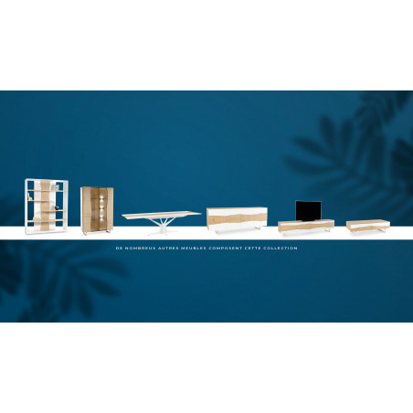 Meuble TV 2 portes RACINE