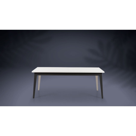 Table de repas extensible CANNES