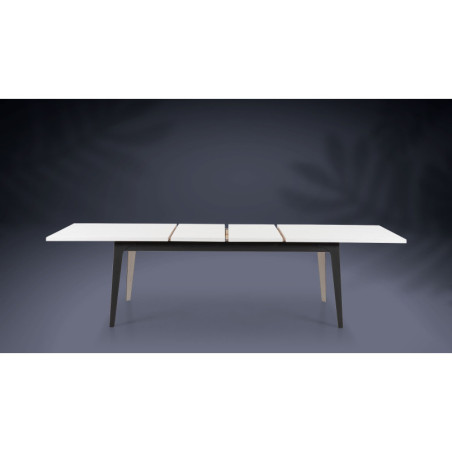 Table de repas extensible CANNES