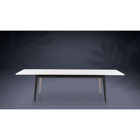 Table de repas extensible CANNES