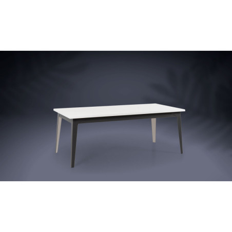 Table de repas extensible CANNES