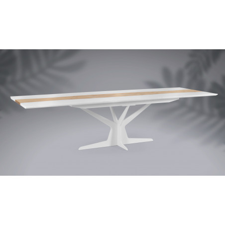 Table de repas extensible RACINE