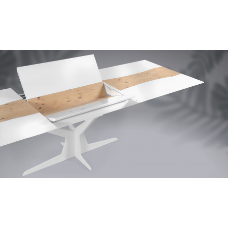 Table de repas extensible RACINE