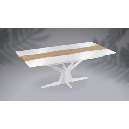 Table de repas extensible RACINE