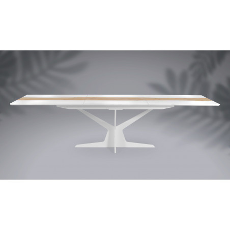 Table de repas extensible RACINE