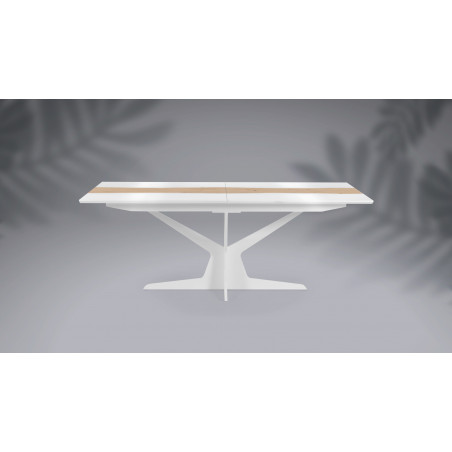 Table de repas extensible RACINE