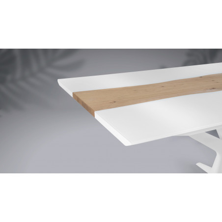 Table de repas extensible RACINE