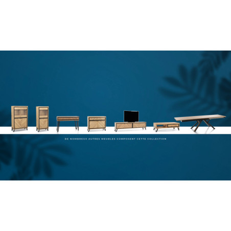Meuble TV 2 portes abattantes RELIEF