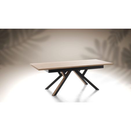 Table repas extensible RELIEF