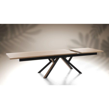 Table repas extensible RELIEF