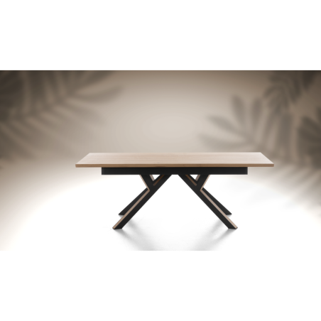 Table repas extensible RELIEF