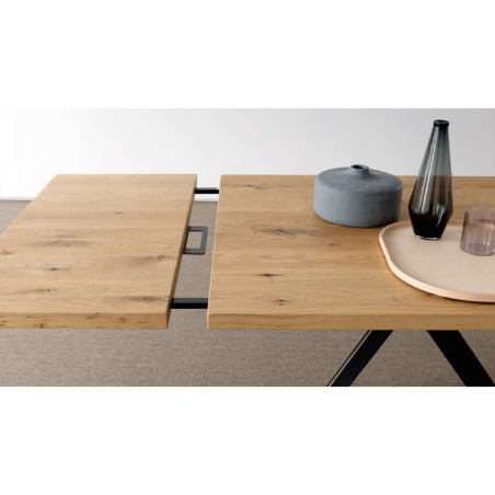 Table de repas extensible WIEN