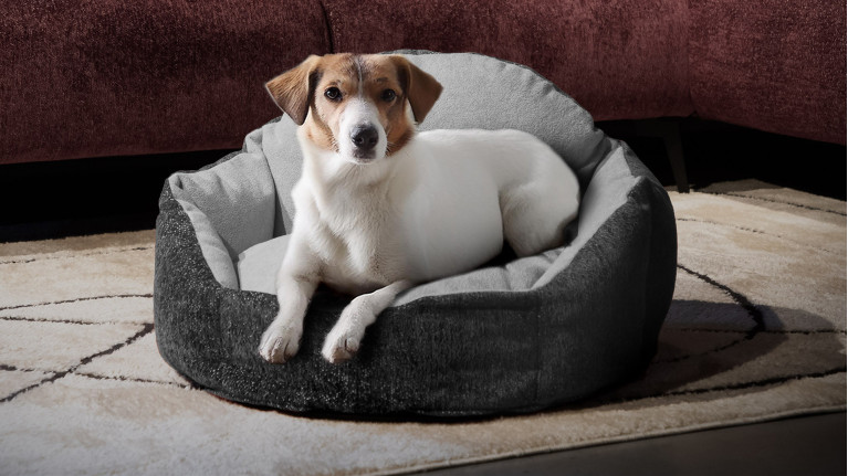 Panier pour chien MICKEY