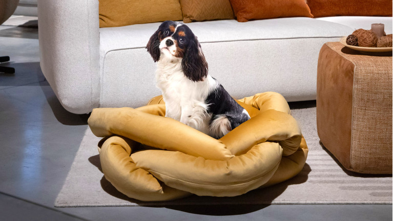 Panier pour chien LUNA