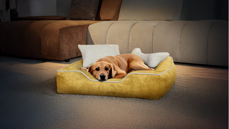 Panier pour chien BONNIE | Couchage élégant et moelleux en 2 tailles